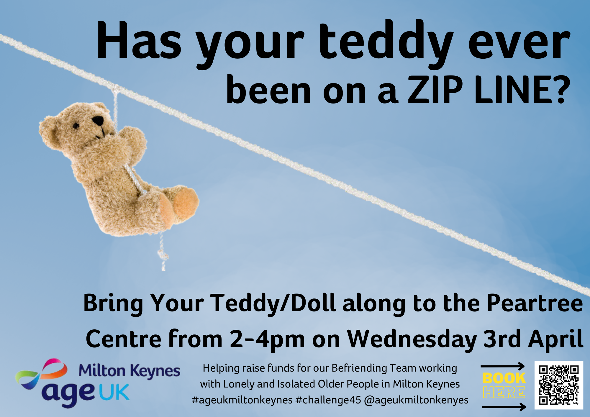 Teddy Bear Zip Line