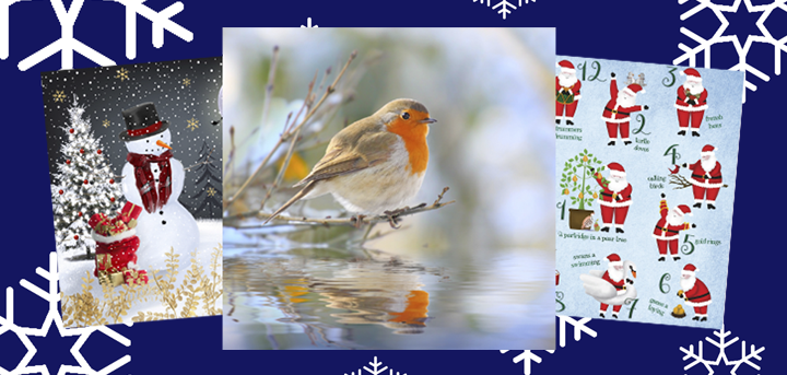 Age UK Shropshire Telford & Wrekin Christmas cards