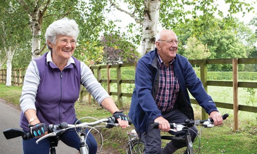 Two people cycling through a forest